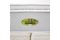 conjunto-colchao-mais-cama-box-bau-casal-malasia-theva-copel-colchoes3