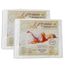 kit-Protetor-de-travesseiro-Gold-Copel-Colchoes-50-90