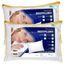 kit-2-travesseiro-bestpluma-50x70-theva-copel-colchoes-2